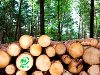 66 Prozent der gesamten Waldfläche in Deutschland sind bereits PEFC-zertifiziert.