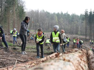 Die Kinder der Entdecker-Grundschule Gera hier beim Pflanzen der Jungbäume. (Foto: Stadt Gera/CHeinrich)
